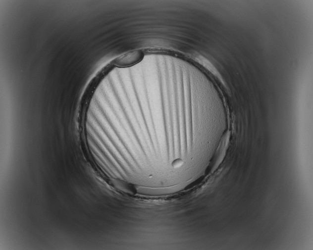 X0000086741068200705041403