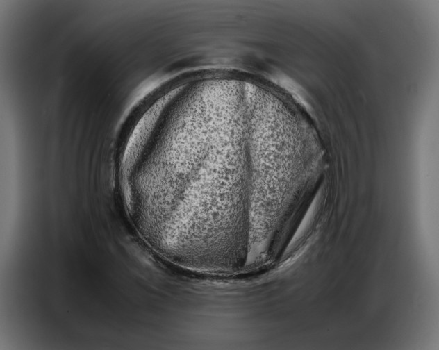 X0000086741069200705041403