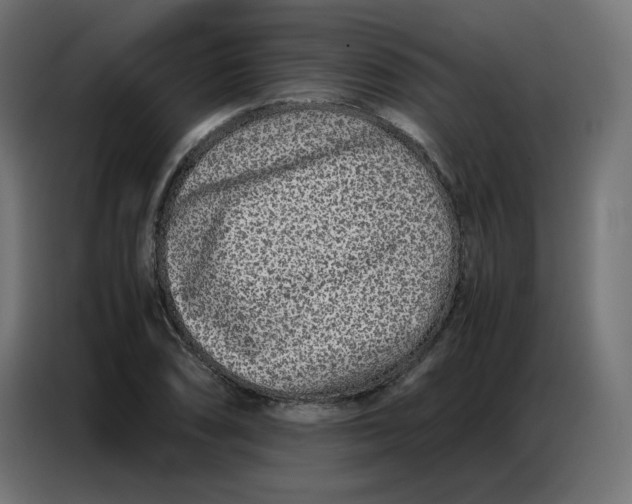 X0000086741074200705041403