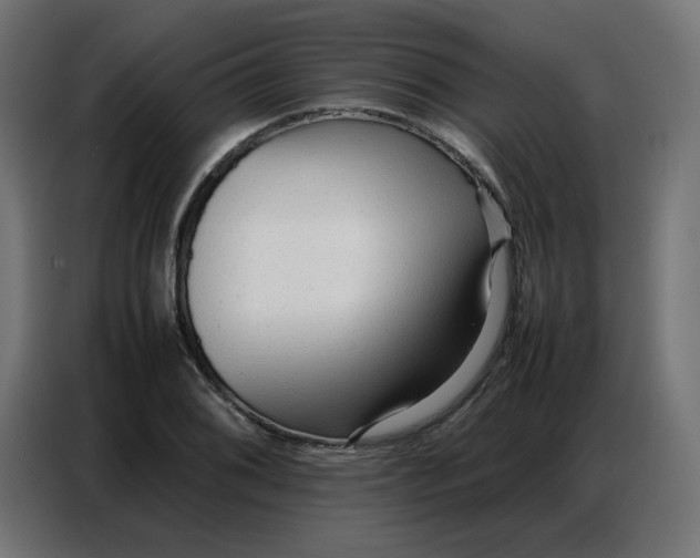 X0000086741076200705041403