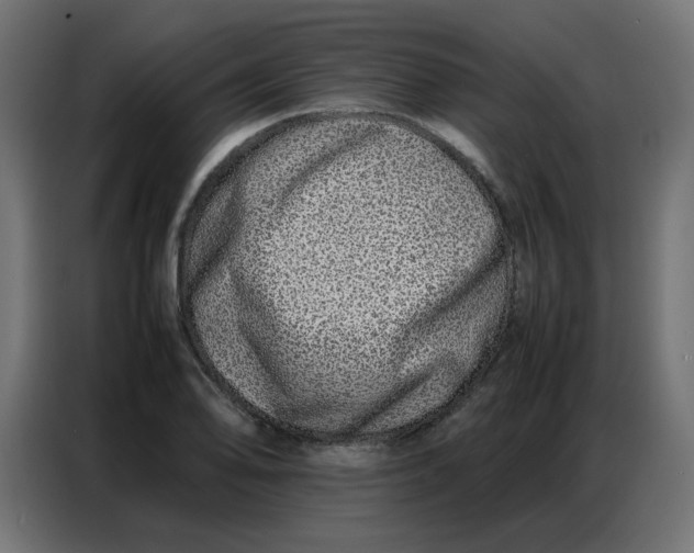 X0000086741078200705041403