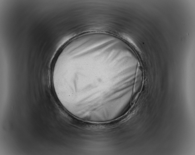 X0000086741079200705041403