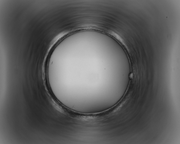 X0000086741082200705041403