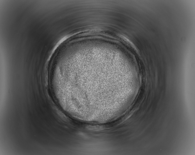 X0000086741083200705041403