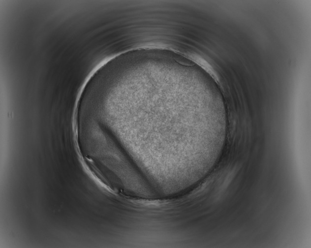 X0000086741084200705041403