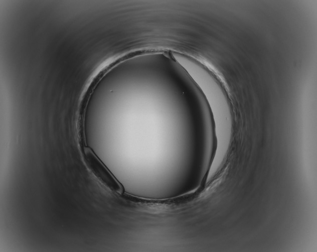 X0000086741085200705041403