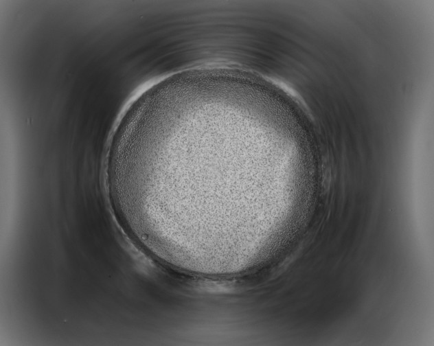 X0000086741086200705041403