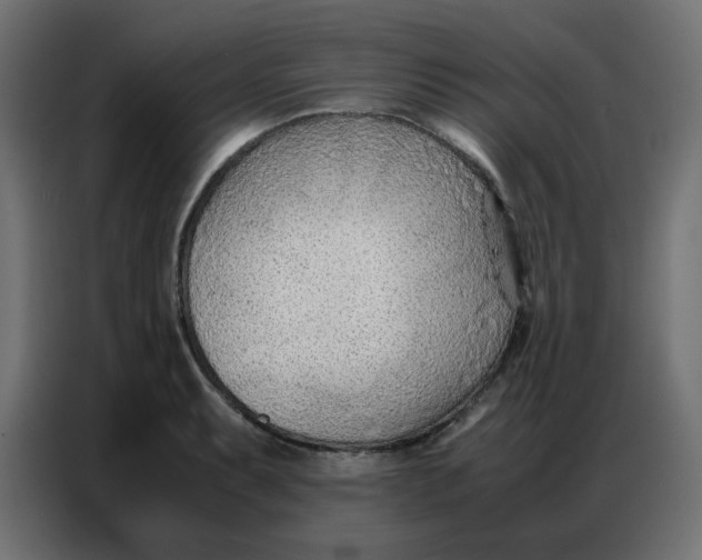 X0000086741087200705041403