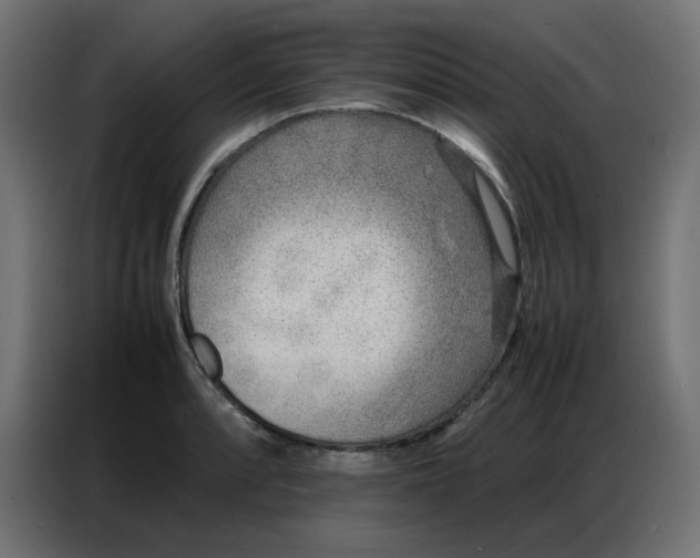 X0000086741088200705041403