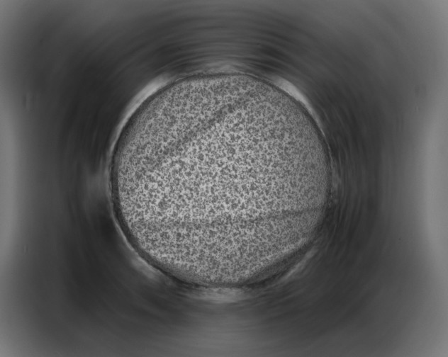 X0000086741090200705041403