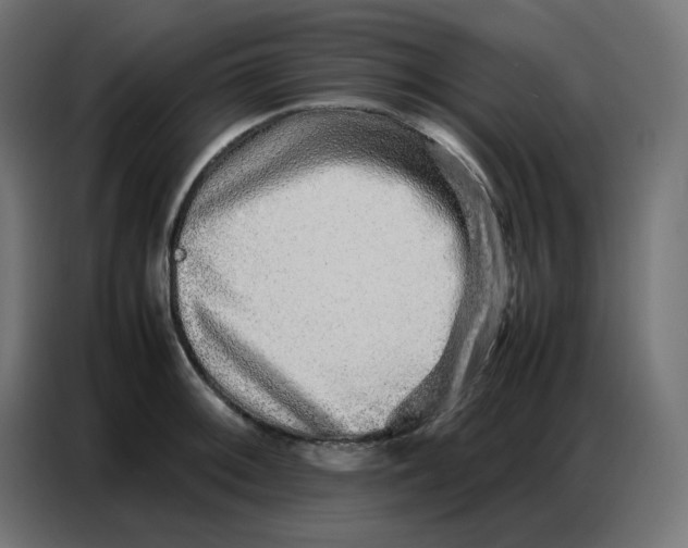 X0000086741092200705041403