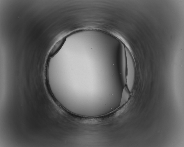 X0000086741093200705041402