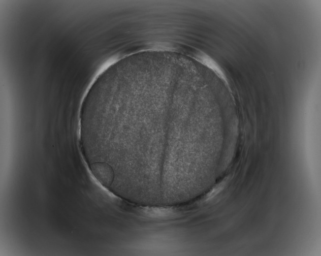 X0000086741095200705041402