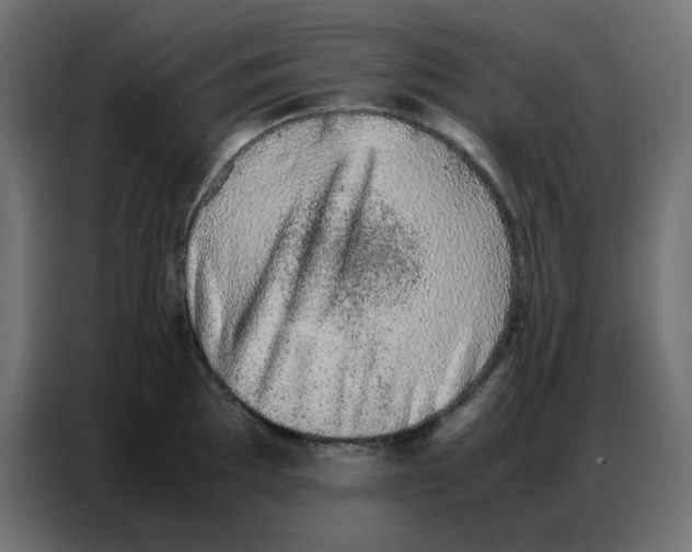 X0000086741097200705041402