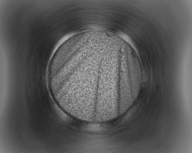 X0000086741098200705041402