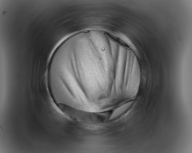 X0000086741100200705041402