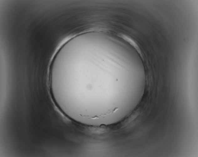 X0000086741103200705041402