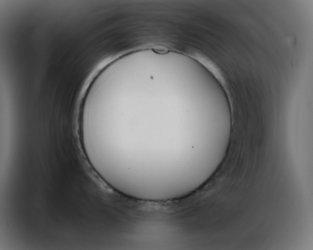 X0000086741104200705041402