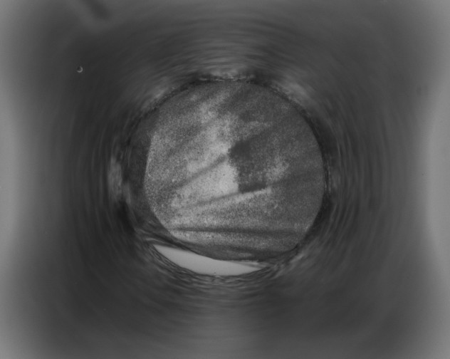 X0000086741106200705041402