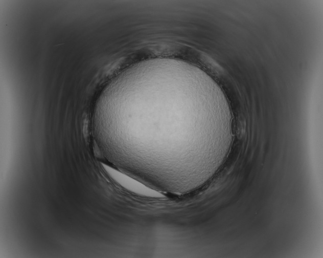 X0000086741108200705041402