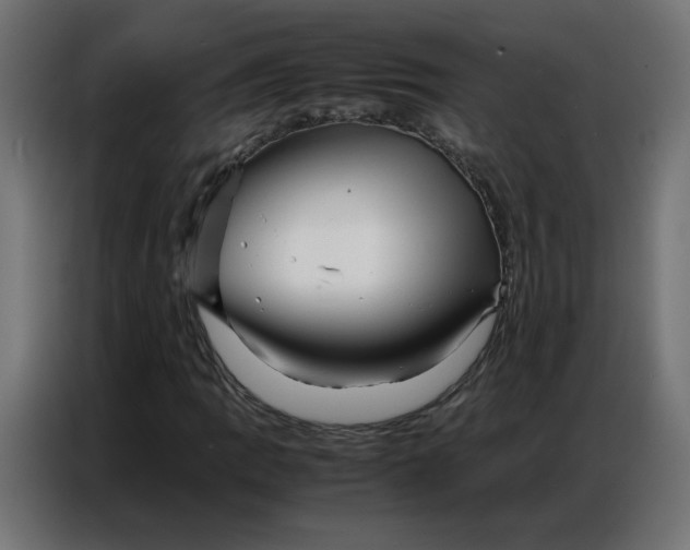 X0000086741109200705041402