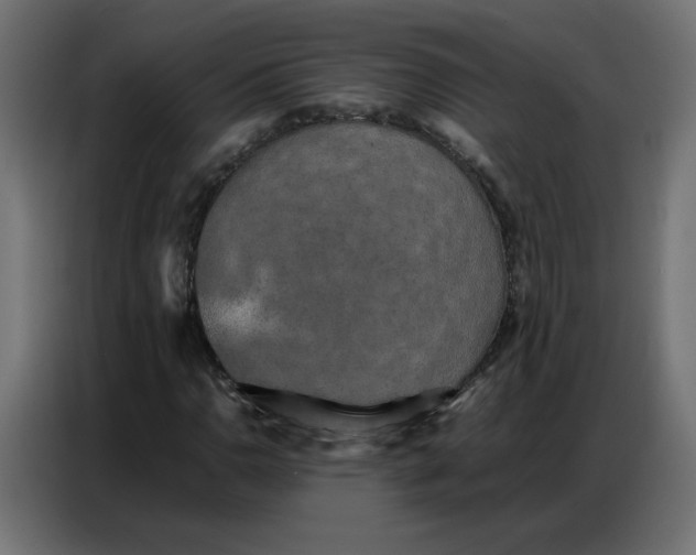 X0000086741110200705041402