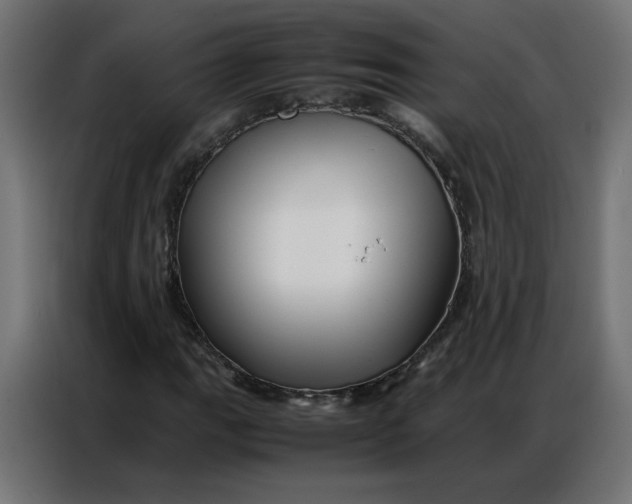 X0000086741111200705041402