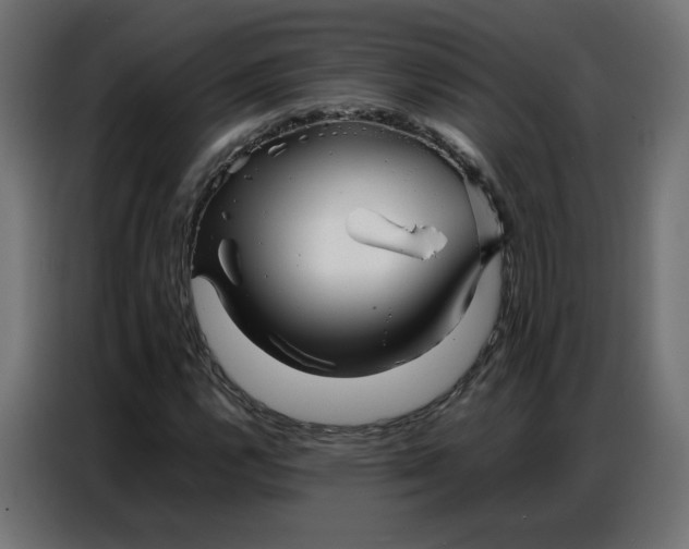 X0000086741112200705041402