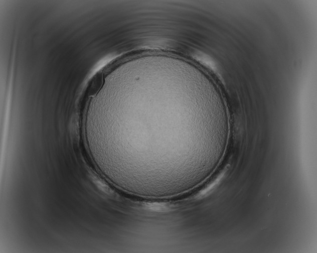 X0000086741114200705041402