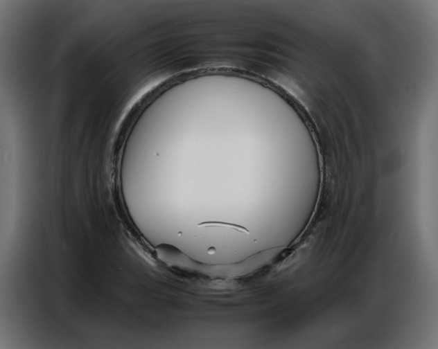 X0000086741119200705041402