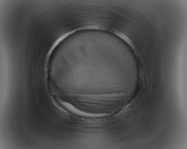 X0000086741120200705041402