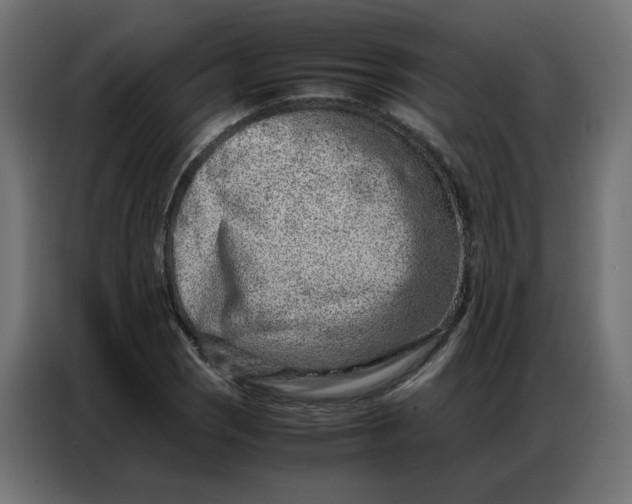 X0000086741121200705041402