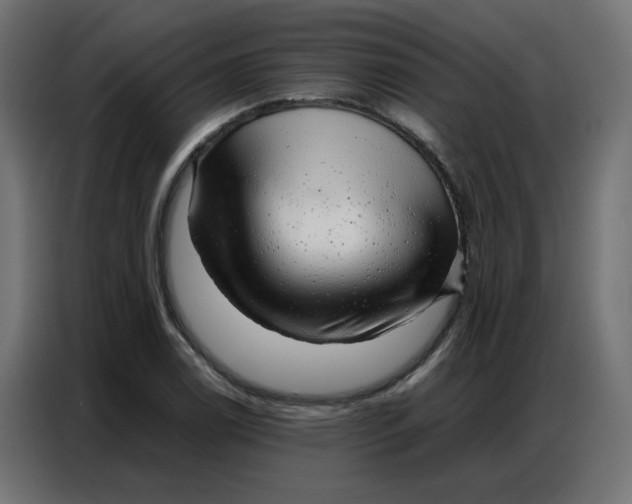 X0000086741122200705041402