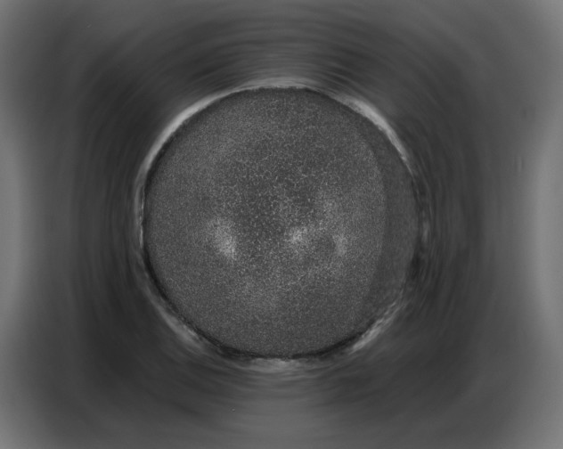 X0000086741124200705041402