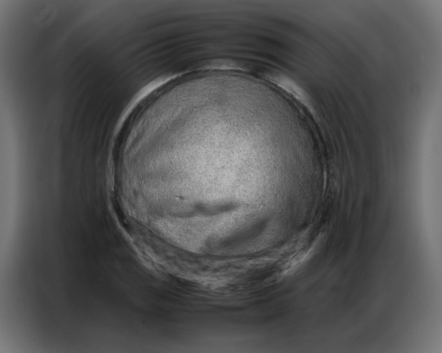 X0000086741125200705041402