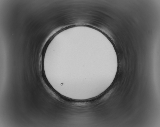 X0000086741126200705041402