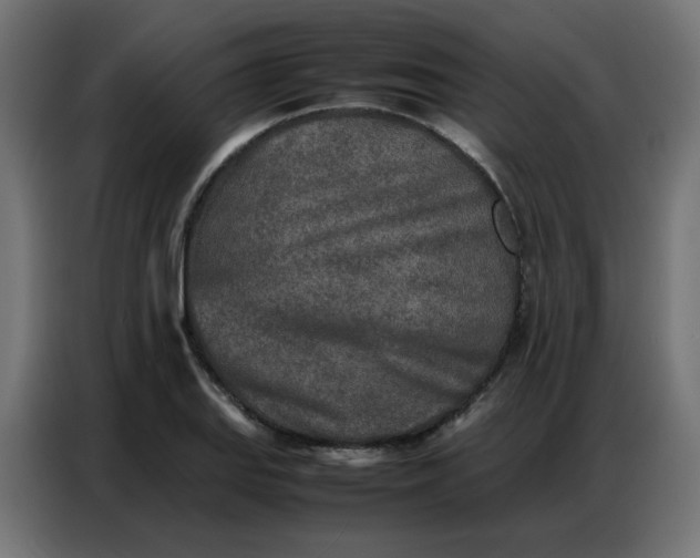 X0000086741127200705041402