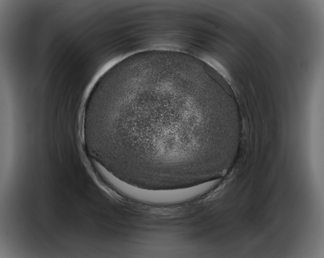 X0000086741128200705041402