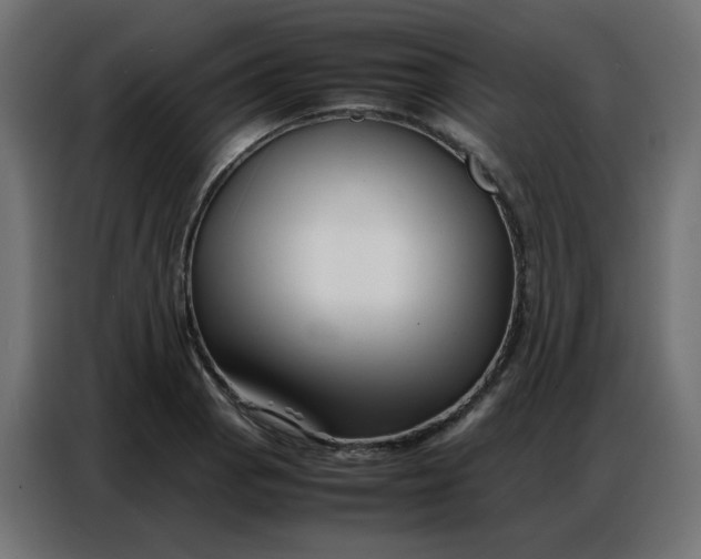 X0000086741129200705041402