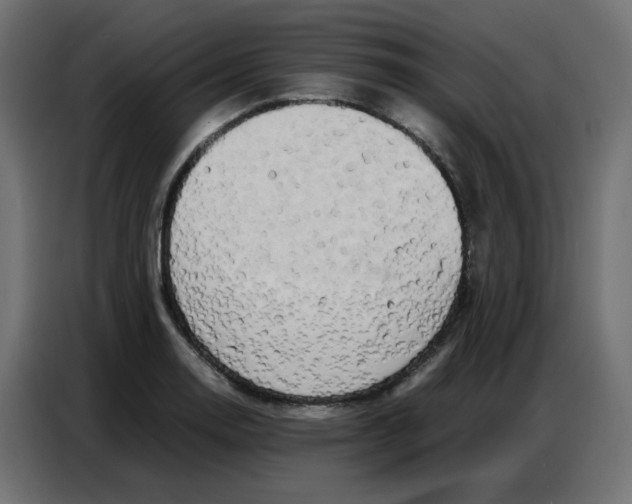 X0000086741130200705041402