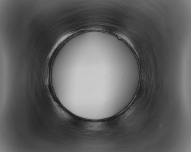 X0000086741131200705041402