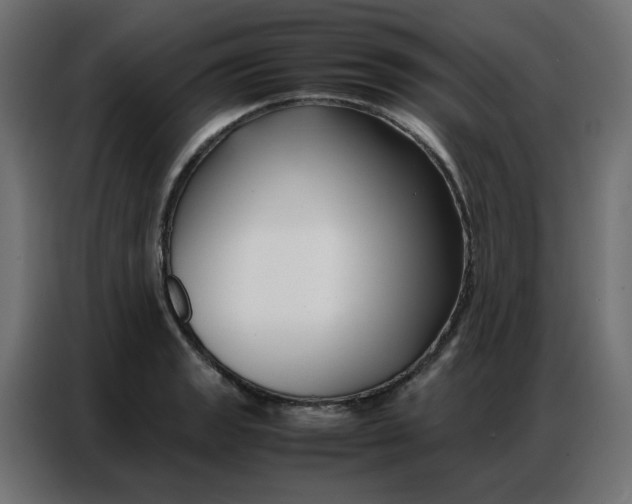 X0000086741133200705041402