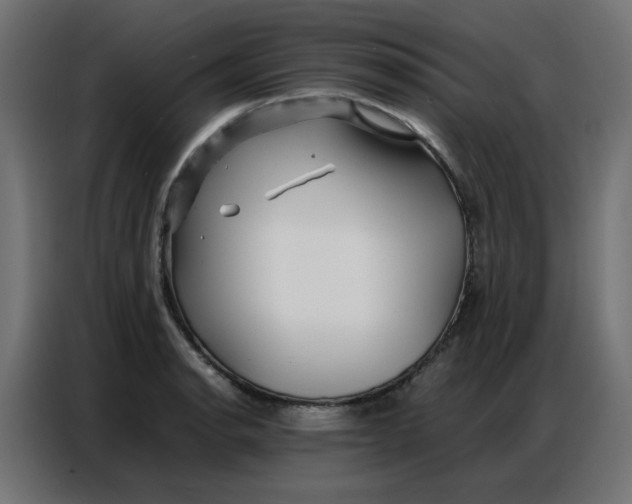 X0000086741134200705041402