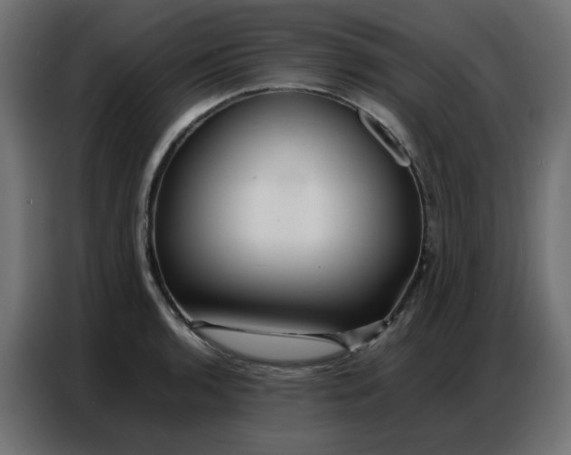 X0000086741136200705041402