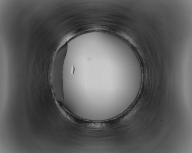 X0000086741137200705041402