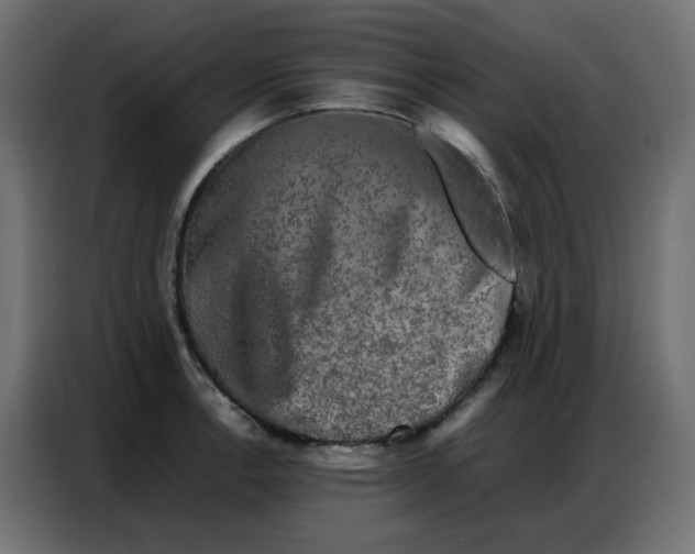 X0000086741138200705041402