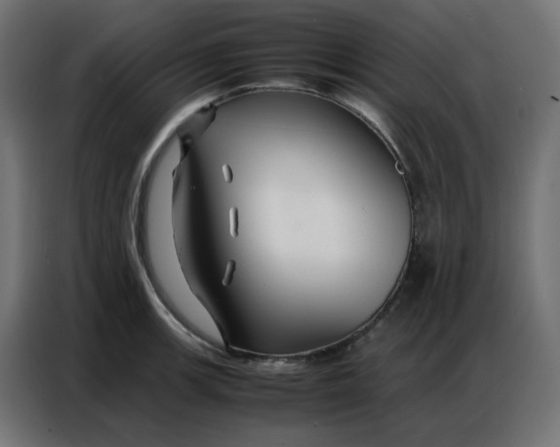 X0000086741139200705041402