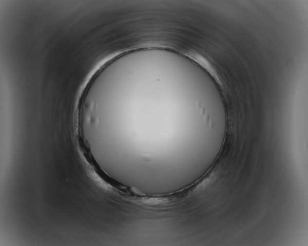 X0000086741140200705041402