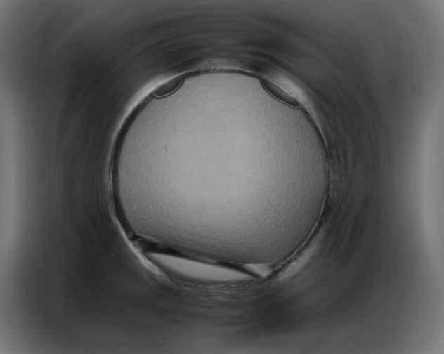 X0000086741141200705041402