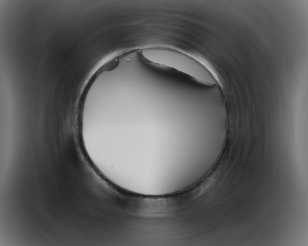 X0000086741142200705041402